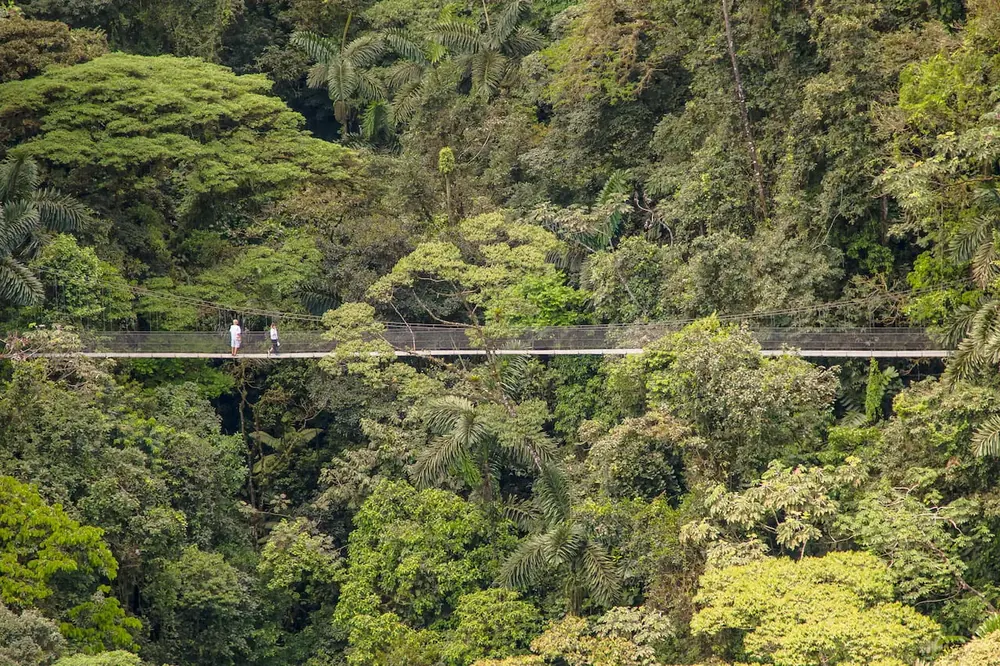 Arenal Hanging Bridges Costa Rica