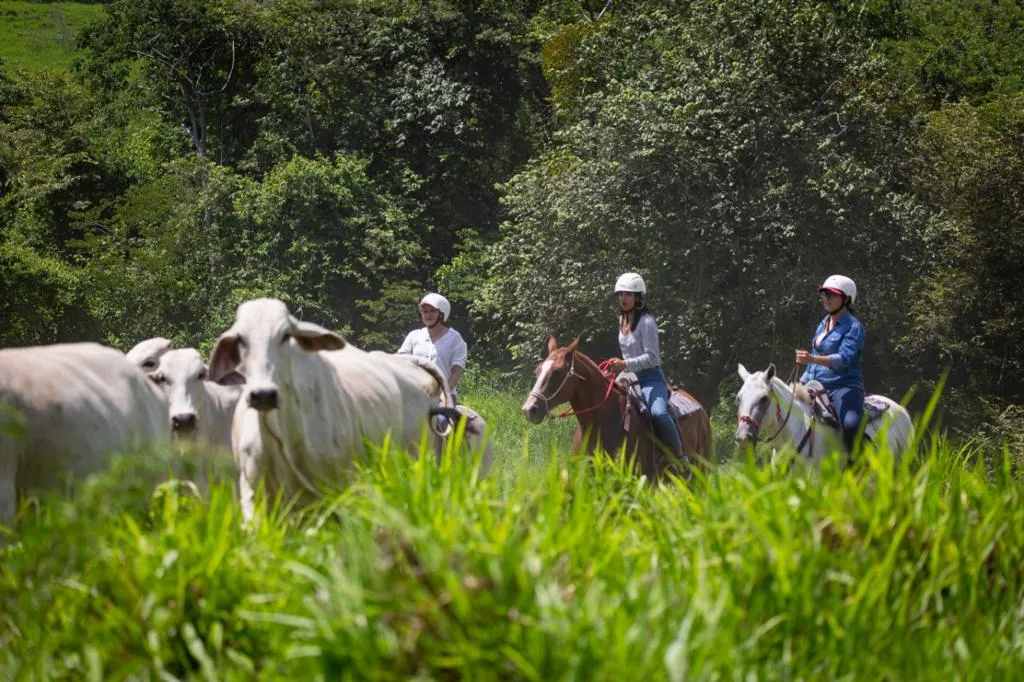 Traditional corn grinding and Costa Rican culture at Hacienda Aromal