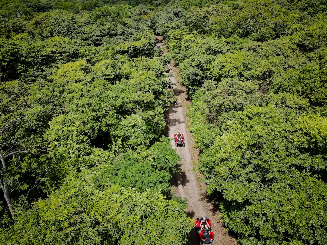 ATV convoy through dry forest tracks, Costa Rica