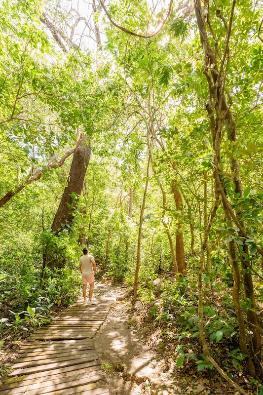 Horseback riding on mountain trails with North Pacific views, Borinque Costa Rica