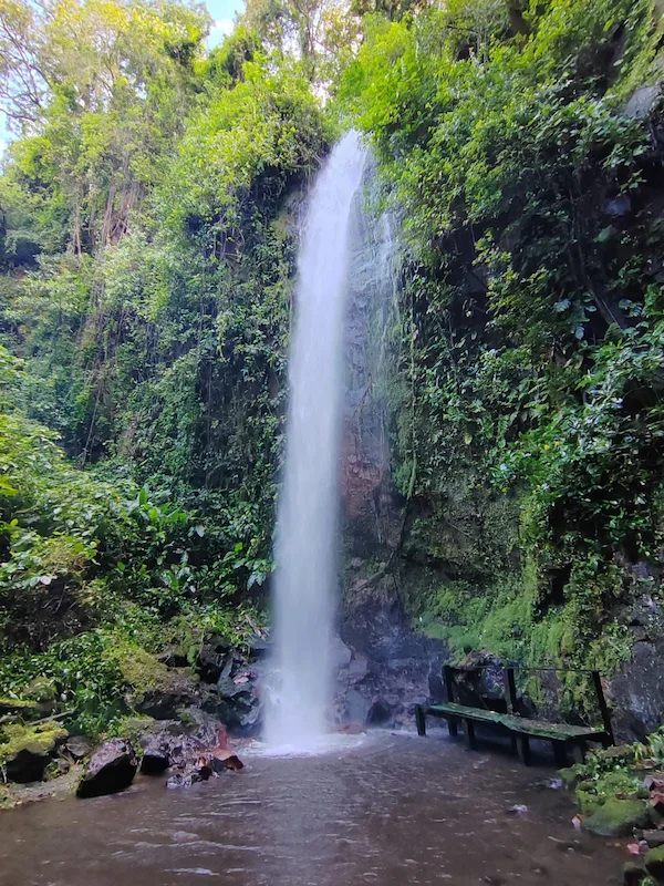 Zip line through tropical forest canopy at Borinque 4 Senses, Costa Rica