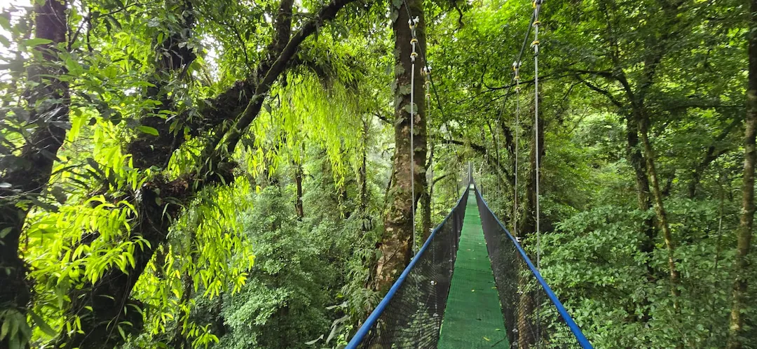 Hanging Bridges and Sloths Experience private tour in Guanacaste, Costa Rica