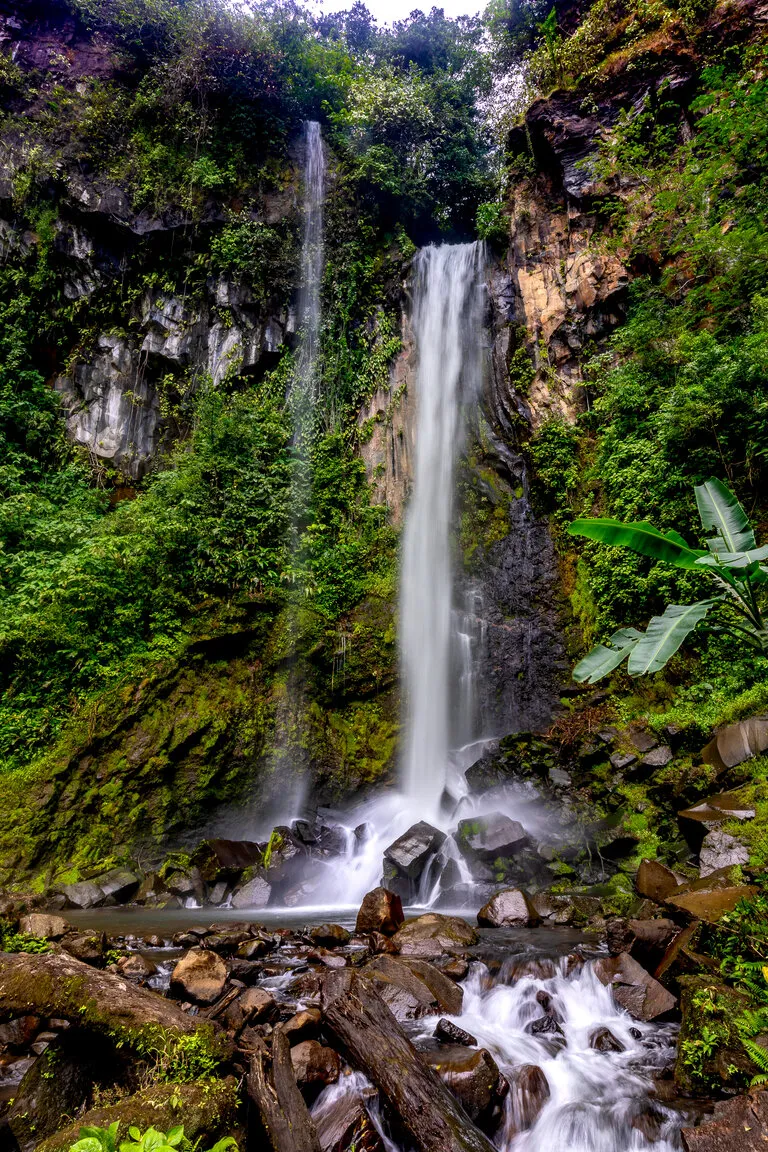 Buena  vista del Rincón photo 5