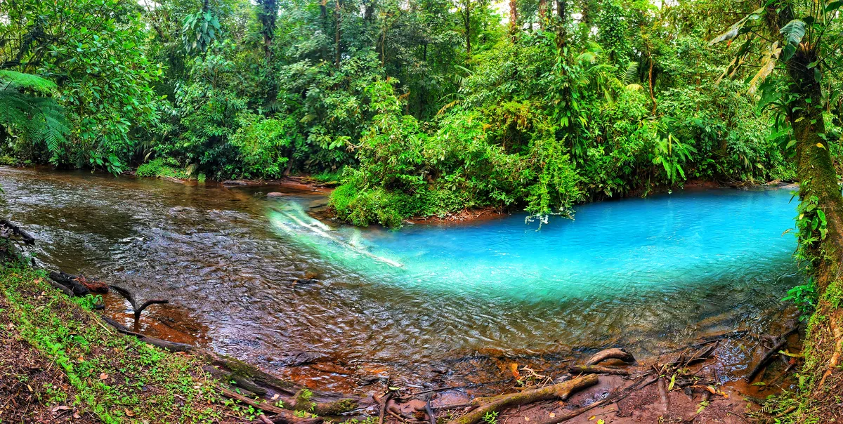 Río Celeste blue color visible from above on forest trail