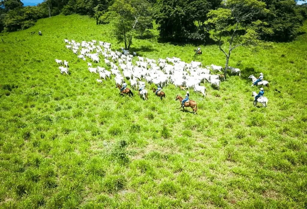 Horseback Riding at Hacienda Aromal private tour in Guanacaste, Costa Rica