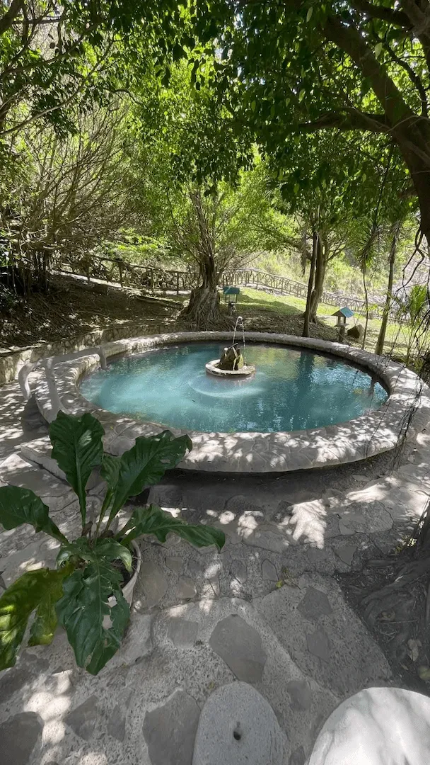 Natural thermal pools surrounded by forest at Miravalles