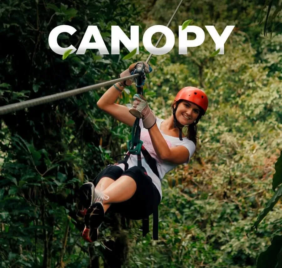 Zip line through the Monteverde cloud forest mist, Costa Rica