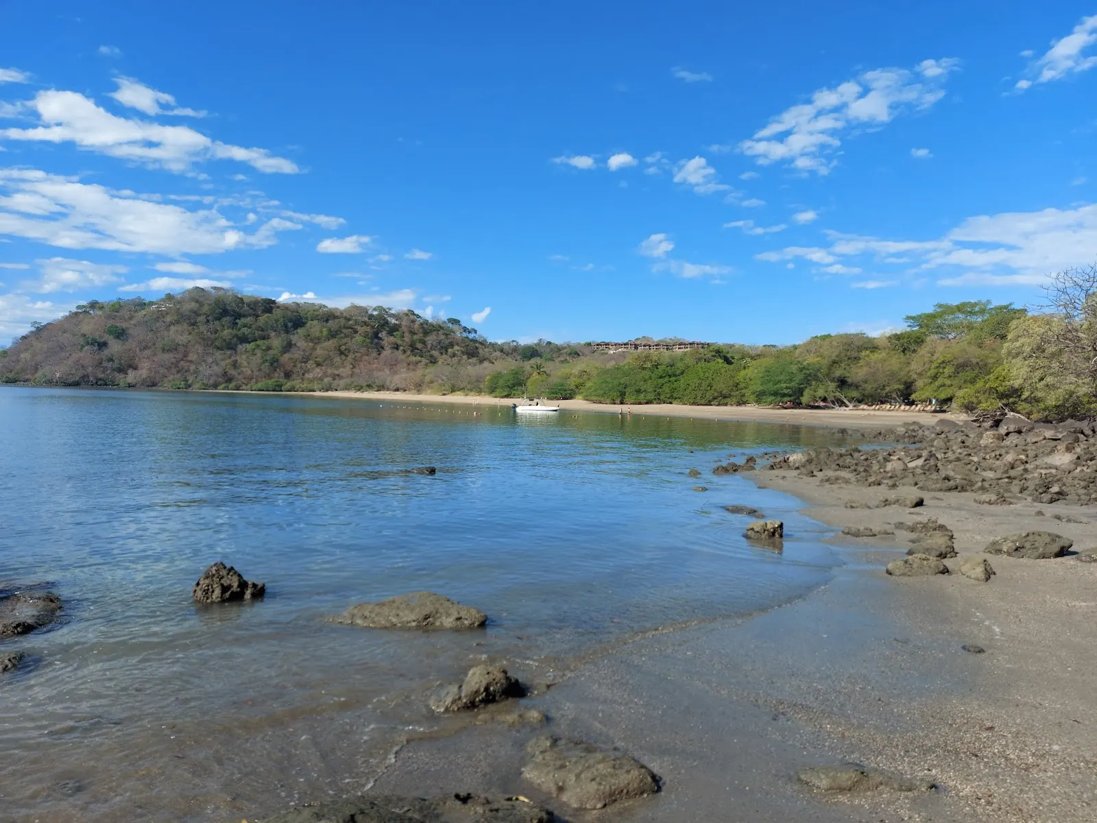 Papagayo