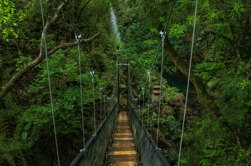 Rincon National Park 10