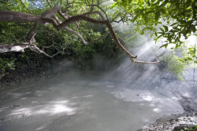 Rincon National Park 9