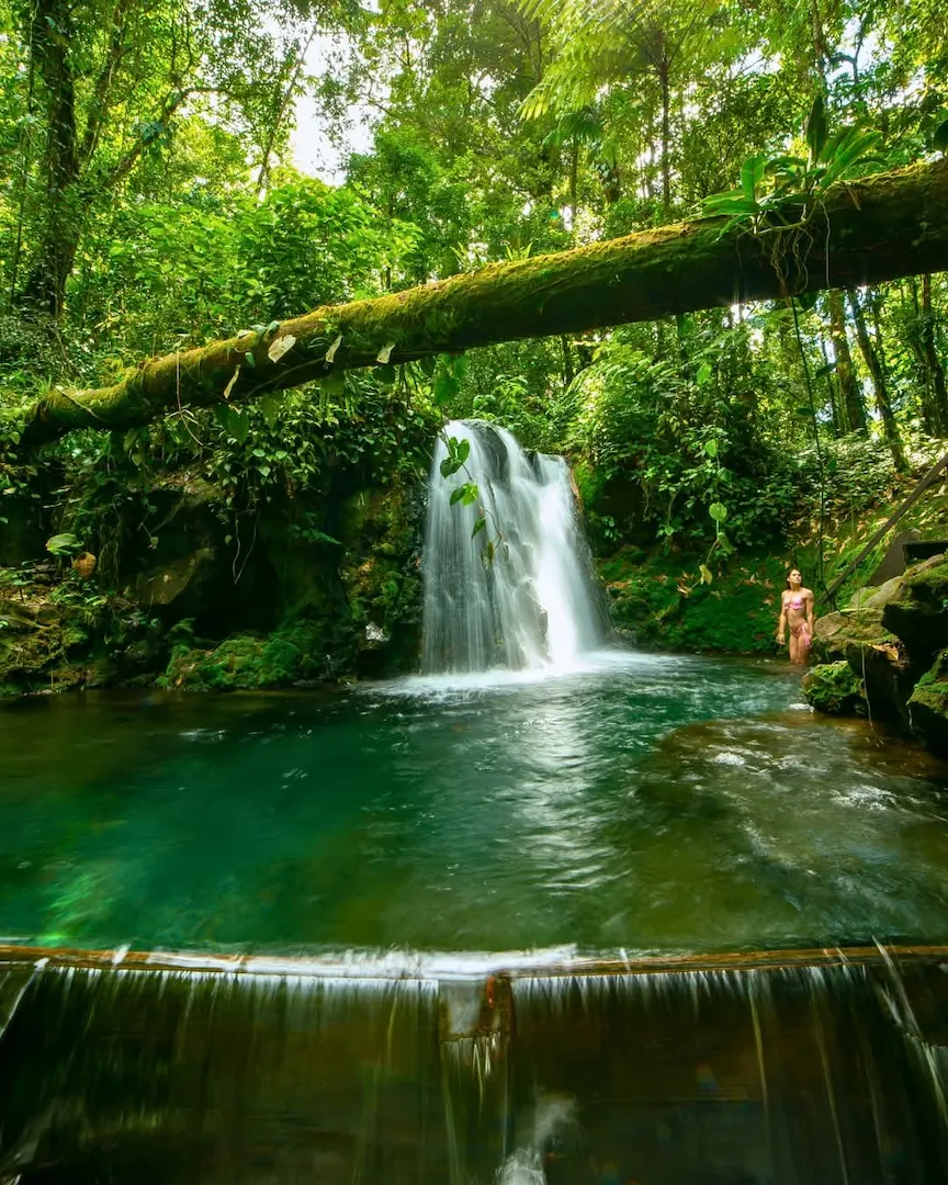 Sensoria Land of Senses and Magical Rainforest private tour in Guanacaste, Costa Rica