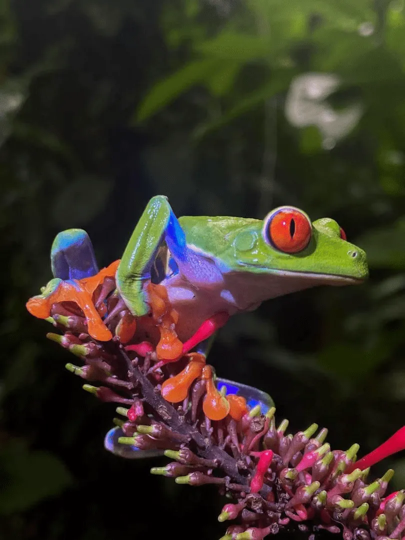 Best Private Day Tours From Four Seasons Papagayo