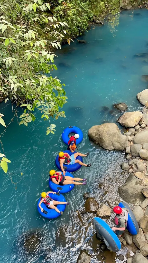 Wildlife observed during Río Celeste tubing — birds and monkeys